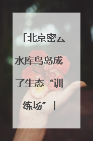 北京密云水库鸟岛成了生态“训练场”