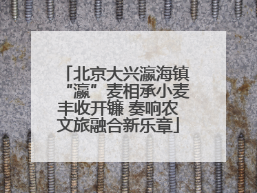 北京大兴瀛海镇“瀛”麦相承小麦丰收开镰 奏响农文旅融合新乐章