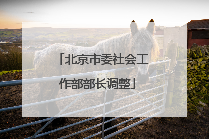 北京市委社会工作部部长调整