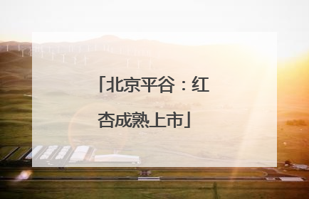 北京平谷：红杏成熟上市