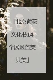 北京荷花文化节14个展区各美其美