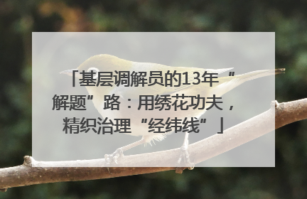 基层调解员的13年“解题”路：用绣花功夫，精织治理“经纬线”
