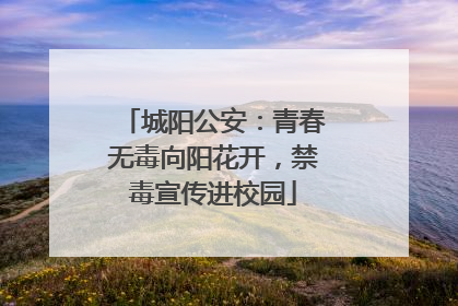 城阳公安：青春无毒向阳花开，禁毒宣传进校园