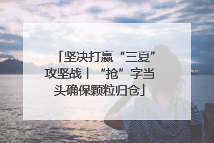 坚决打赢“三夏”攻坚战丨“抢”字当头确保颗粒归仓