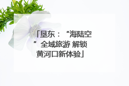垦东：“海陆空”全域旅游 解锁黄河口新体验