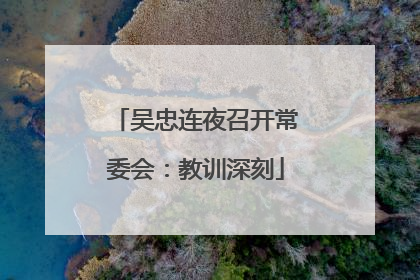 吴忠连夜召开常委会：教训深刻