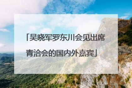 吴晓军罗东川会见出席青洽会的国内外嘉宾