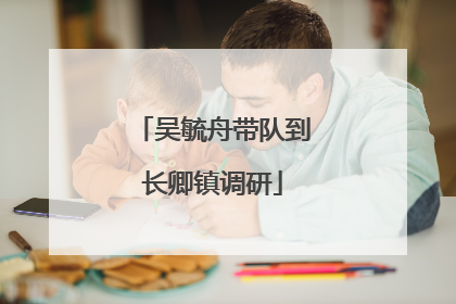吴毓舟带队到长卿镇调研