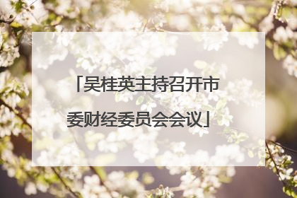 吴桂英主持召开市委财经委员会会议