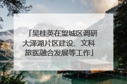 吴桂英在望城区调研大泽湖片区建设、文科旅医融合发展等工作