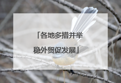 各地多措并举稳外贸促发展