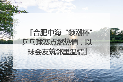 合肥中海“领潮杯”乒乓球赛点燃热情，以球会友筑邻里温情