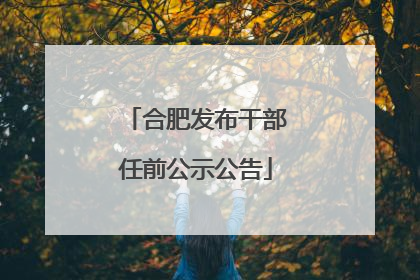 合肥发布干部任前公示公告