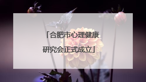 合肥市心理健康研究会正式成立