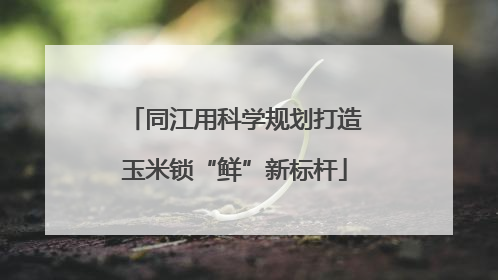 同江用科学规划打造玉米锁“鲜”新标杆