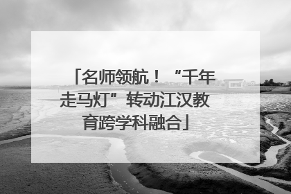 名师领航！“千年走马灯”转动江汉教育跨学科融合