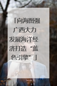 向海图强 广西大力发展海洋经济打造“蓝色引擎”