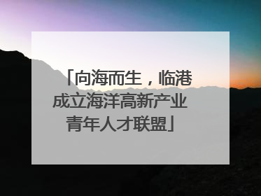 向海而生，临港成立海洋高新产业青年人才联盟