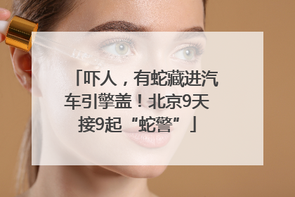 吓人，有蛇藏进汽车引擎盖！北京9天接9起“蛇警”