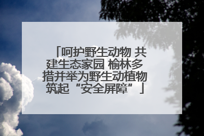 呵护野生动物 共建生态家园 榆林多措并举为野生动植物筑起“安全屏障”