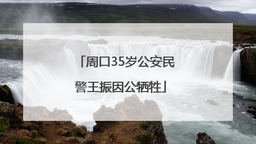 周口35岁公安民警王振因公牺牲