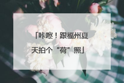 咔嚓！跟福州夏天拍个“荷”照