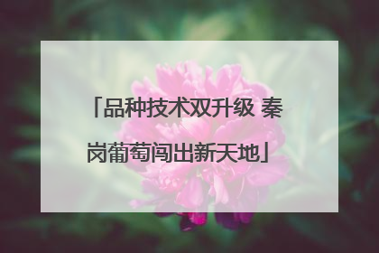 品种技术双升级 秦岗葡萄闯出新天地