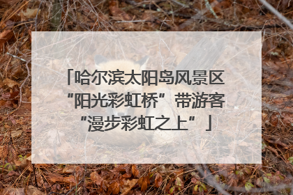 哈尔滨太阳岛风景区“阳光彩虹桥”带游客“漫步彩虹之上”