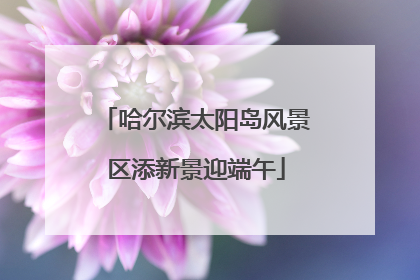 哈尔滨太阳岛风景区添新景迎端午