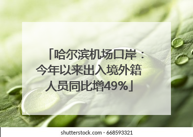 哈尔滨机场口岸：今年以来出入境外籍人员同比增49%