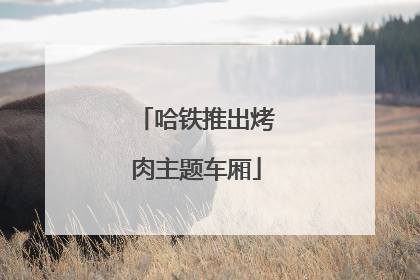哈铁推出烤肉主题车厢