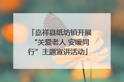 嘉祥县纸坊镇开展“关爱老人 安暖同行”主题宣讲活动