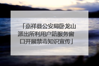 嘉祥县公安局卧龙山派出所利用户籍服务窗口开展禁毒知识宣传