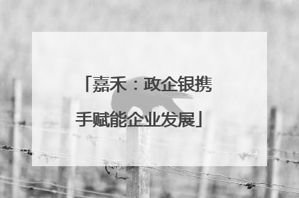嘉禾：政企银携手赋能企业发展