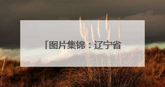 图片集锦：辽宁省第十一届国防体育运动锦标赛在沈阳于洪区精彩上演