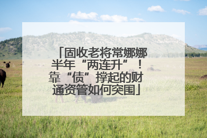 固收老将常娜娜半年“两连升”！靠“债”撑起的财通资管如何突围