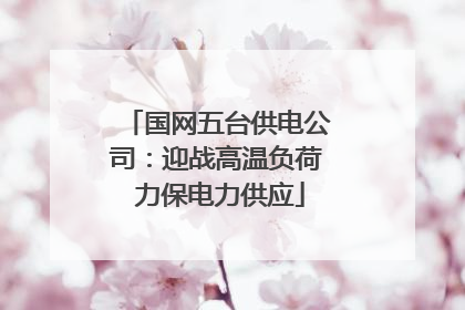 国网五台供电公司：迎战高温负荷 力保电力供应