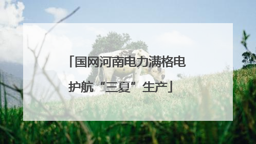 国网河南电力满格电护航“三夏”生产