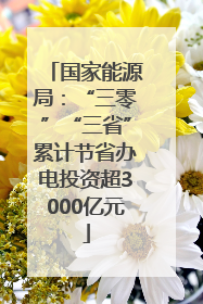 国家能源局：“三零”“三省”累计节省办电投资超3000亿元