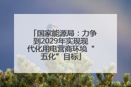 国家能源局：力争到2029年实现现代化用电营商环境“五化”目标