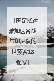 国足抵达雅加达备战与印尼队的世预赛18强赛