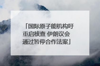 国际原子能机构吁重启核查 伊朗议会通过暂停合作法案