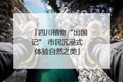 四川植物“出国记” 市民沉浸式体验自然之美