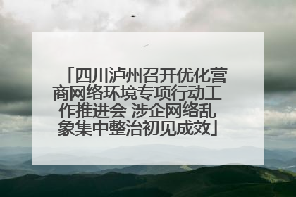 四川泸州召开优化营商网络环境专项行动工作推进会 涉企网络乱象集中整治初见成效