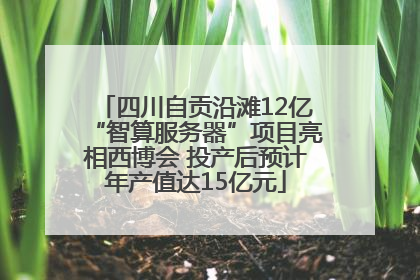 四川自贡沿滩12亿“智算服务器”项目亮相西博会 投产后预计年产值达15亿元