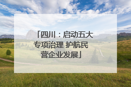 四川：启动五大专项治理 护航民营企业发展