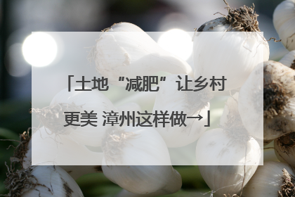 土地“减肥”让乡村更美 漳州这样做→