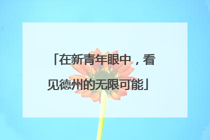 在新青年眼中，看见德州的无限可能