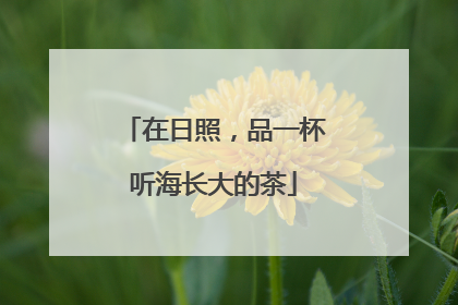 在日照，品一杯听海长大的茶