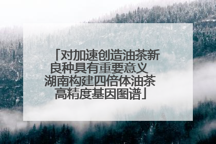 对加速创造油茶新良种具有重要意义 湖南构建四倍体油茶高精度基因图谱